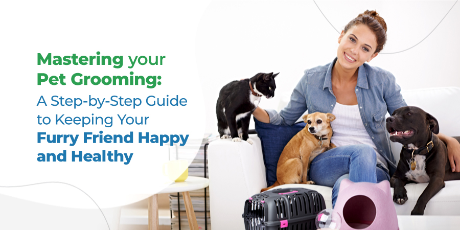 Best pet grooming dubai