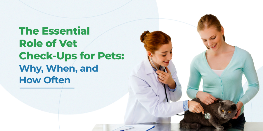 VETS FUR PETS