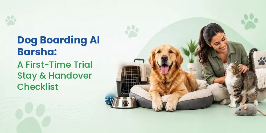 Dog Boarding Al Barsha - Vets Fur Pets