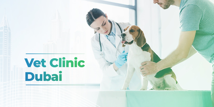 Vet Clinic Dubai 