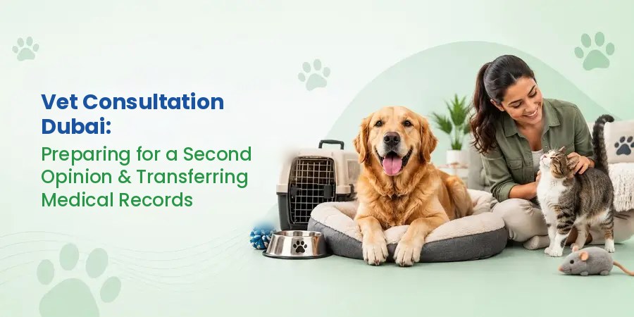Vet Consultation Dubai - Vets Fur Pets