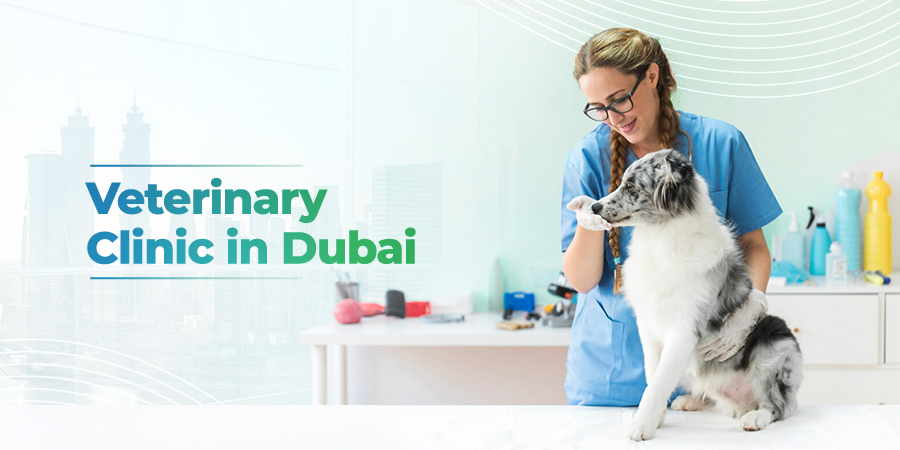 Veterinary Clinic In Dubai